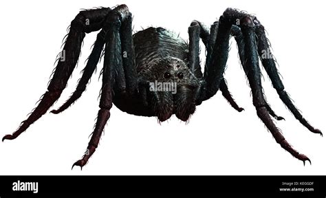 Monster spider hi-res stock photography and images - Alamy