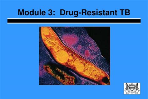 PPT - Module 3: Drug-Resistant TB PowerPoint Presentation, free ...