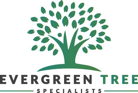 Evergreen Tree Specialists – Tree Service – Serving All Five Boroughs ...