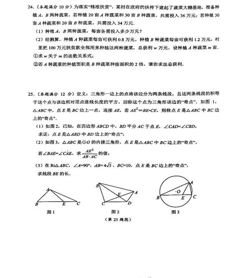 2023年江苏省泰州市兴化市九年级学生阶段性评价数学试卷（含答案） 教习网试卷下载