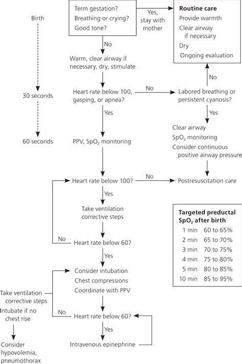 Neonatal Resuscitation Updated Guidelines From The 45 Off