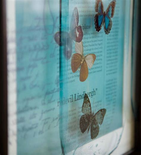 Printed Glass Butterflies Wall Art Wind And Weather