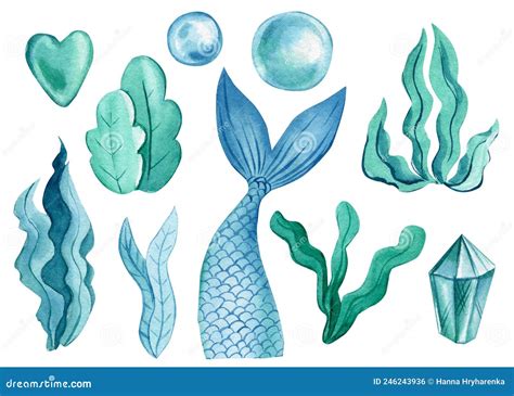 Mermaid Tail On Isolated White Background Hand Drawn Watercolor Summer Marine Clipart Stock