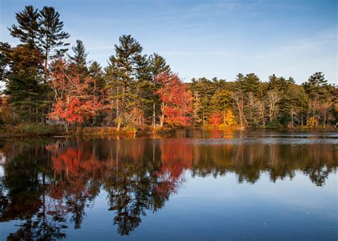 Cady Pond Putnam Ct Fall 2020 Peter Rintels Flickr