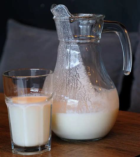 Camel Milk Benefits Nutritional Value And Side Effects