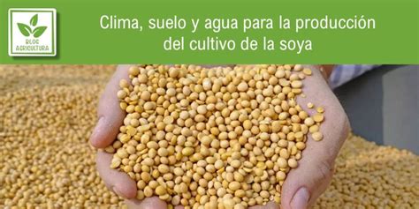 Clima suelo y agua para la producción del cultivo de la soya