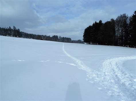 Spuren Im Schnee Fotos Hikr Org