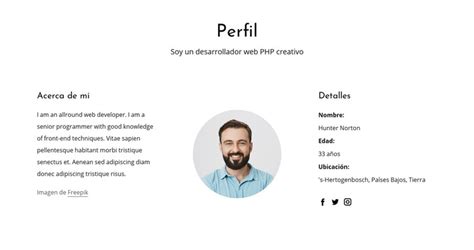 Perfil De Trabajo De Desarrollador Web Plantilla Html