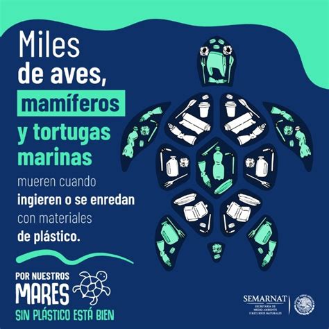 Pacífico Favorito Monitor Campañas De Proteccion Del Medio Ambiente