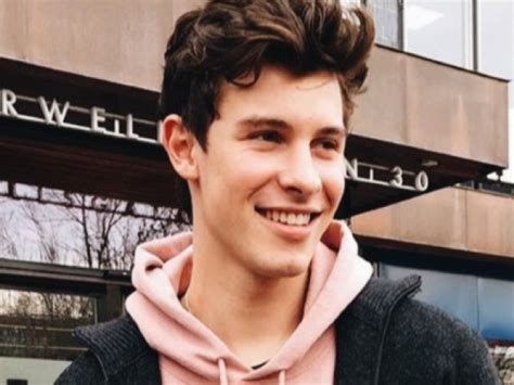 Você Realmente Conhece Shawn Mendes Luna Oliveira Quizur