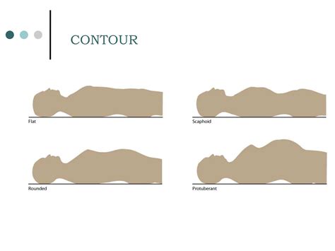 ASSESSMENT OF THE ABDOMEN, INSPECTION, AUSCULTATION, PERCUSSION
