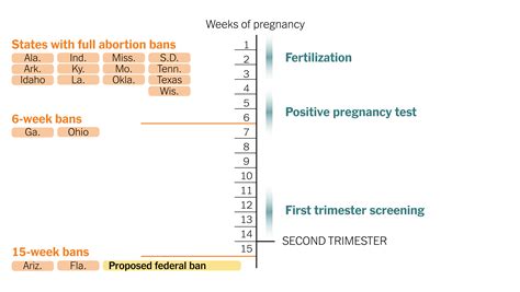 Abortion Ban: A Comprehensive Guide To The Restrictions And Legal Implications