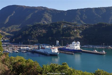 Can T Miss Things To Do In Picton New Zealand