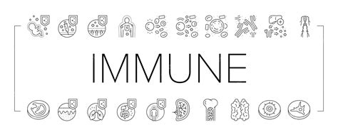 Premium Vector Immune System Disease And Treat Icons Set Vector