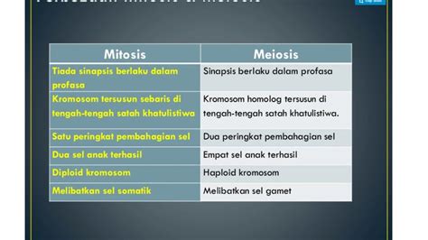 Perbandingan Mitosis Dan Meiosis