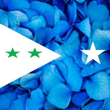 "Galmudug State Flag" Art Board Print for Sale by DabalDeg | Redbubble