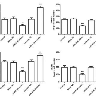 The Role Of MicroRNA 3196 MiR 3196 In Cell Proliferative Function