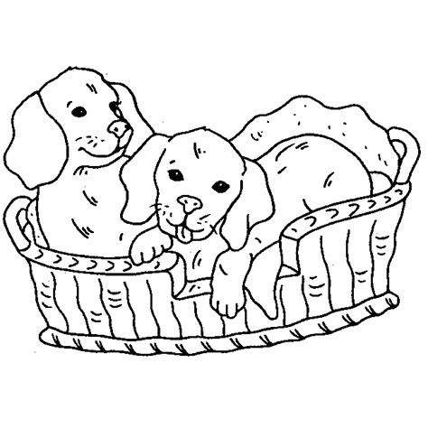 Cães Para Colorir Desenhos Para Colorir