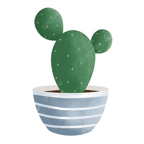 Planta De Cactus En Maceta PNG Planta En Maceta Planta De Cactus