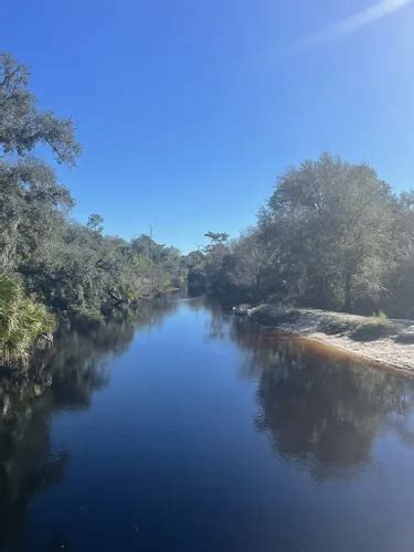 10 Best Trails And Hikes In Florida Alltrails