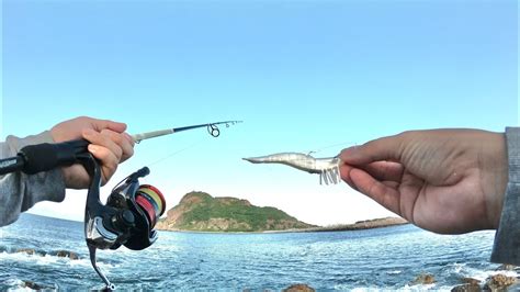 Como Pescar Con Camar N Artificial Rockfishing Youtube