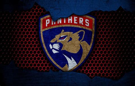 Sport Logo Florida Panthers HD Wallpaper Pxfuel