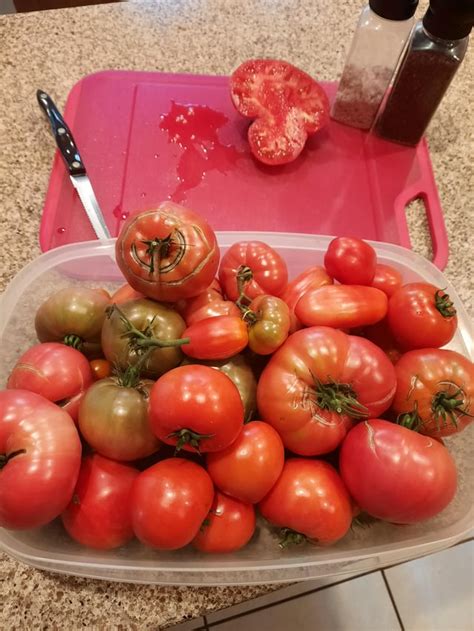 Growing Tomatoes And Cucumbers On A Partly Shady Patio R