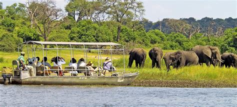 Chobe Day Trip Visit Victoria Falls