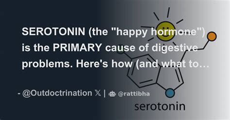 Serotonin The Happy Hormone Is The Primary Cause Of Digestive