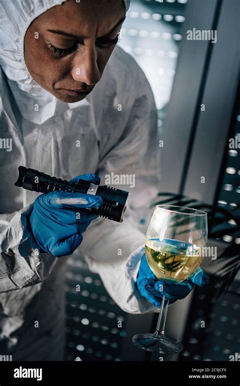 Crime Scene Forensics Expert Examining Evidence At A Crime Scene Stock