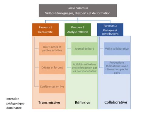 PDF Contribuer à la professionnalisation des étudiants dans un