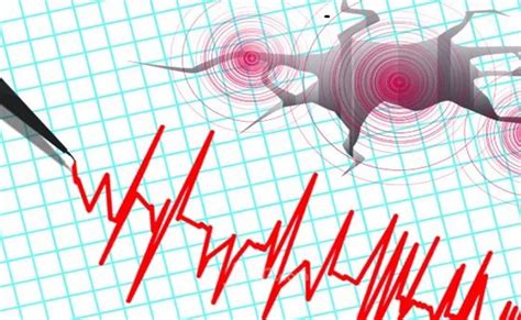 Gempa Magnitudo 5 6 Guncang Daruba Morotai