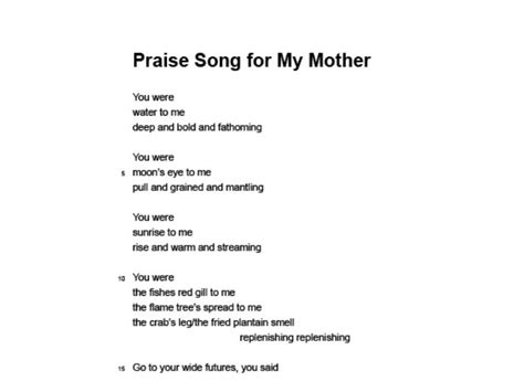 Praise Song For My Mother