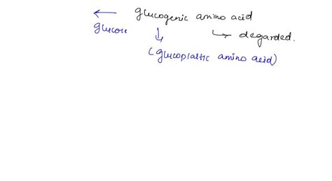 Solved Degradation To Pyruvate Makes An Amino Acid Degradation To