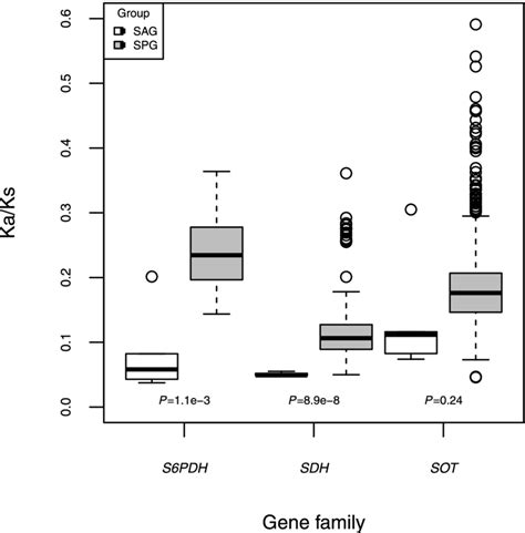 Comparison Of Pairwise Ka Ks Values Between Sag And Spg For S Pdh Sdh