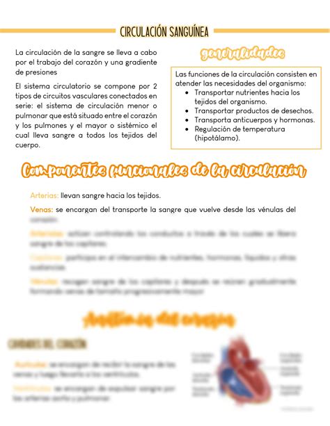 Solution Fisiologia Cardiaca Studypool