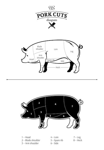 Premium Vector | American US pork cuts diagram