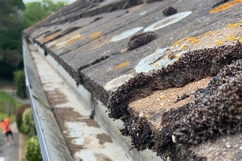 What Happens If You Dont Clean Your Gutters Coastal Drains