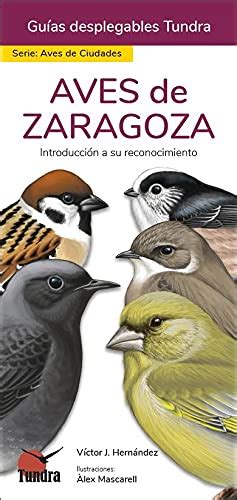 Aves De Zaragoza Guias Desplegables Tundra By V Ctor J Hern Ndez