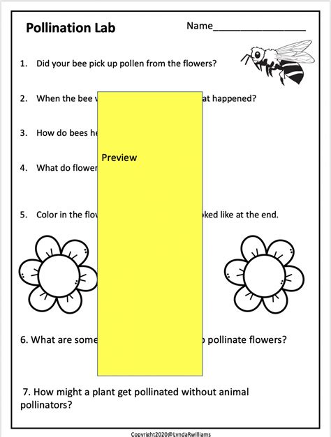 Seed Dispersal Worksheet 2nd Grade