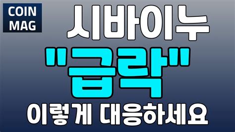 시바이누 긴급속보 급락 이렇게 대응하세요 Youtube