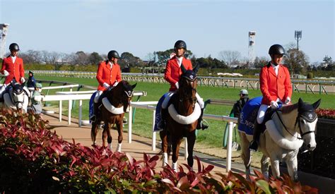 東京競馬場のかわいい誘導馬たち お馬さんジェムの一口馬主ブログ