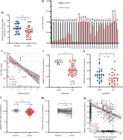 Mir 378a 3p Acts As A Tumor Suppressor In Gastric Cancer Via Directly