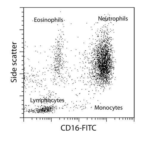 Eosinophil Isolation Kit Human Miltenyi Biotec Usa