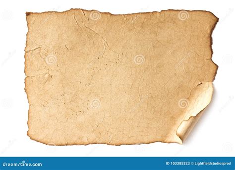 Blank paper texture stock image. Image of manuscript - 103385323