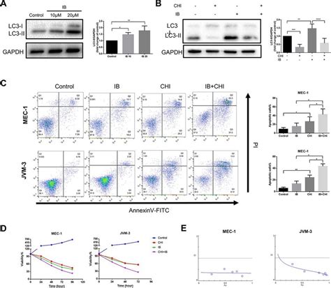 Chidamide And Ibrutinib Have Synergistic Effect On Cll Cells A