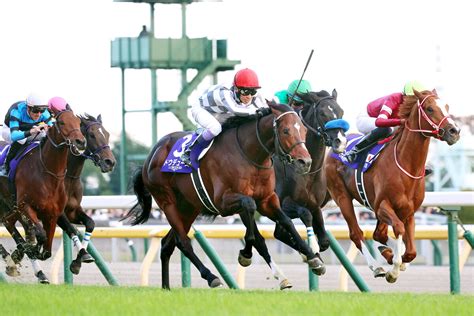 ジャパンc制覇ドウデュースいつも通りカイバをパクパク 一夜明け陣営「競馬後も元気で立ち上がっていたぐらい」 Umatoku 馬トク