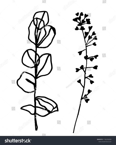 Herbs Drawing Hand Drawn Illustration Simple Stock Vector (Royalty Free ...