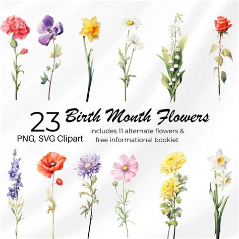 Floral Clipart Wildflower SVG Transparent PNG Rose Birth Month Flowers