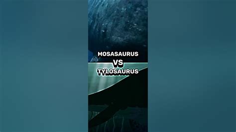 Mosasaurus Vs Tylosaurus Prehistoricplanet Mosasaurus Youtube